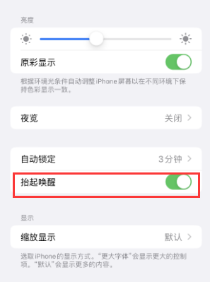 普陀苹果授权维修站分享iPhone轻点无法唤醒怎么办