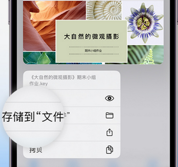 普陀apple维修中心分享iPhone文件应用中存储和找到下载文件