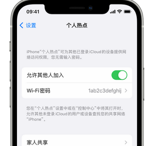 普陀apple服务站点分享iPhone上个人热点丢失了怎么办 