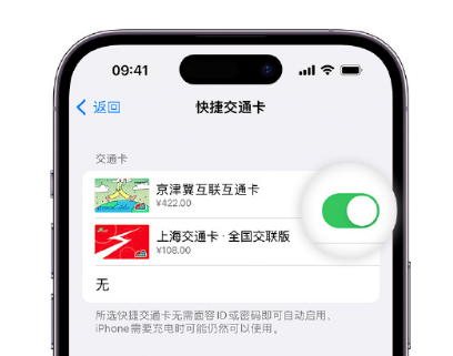 普陀apple维修点分享iPhone上更换Apple Pay快捷交通卡手绘卡面 