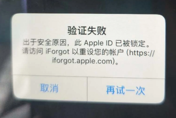 普陀iPhone维修分享iPhone上正常登录或使用AppleID怎么办 