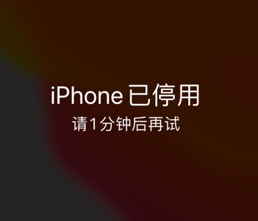 普陀苹果手机维修分享:iPhone 显示“不可用”或“已停用”怎么办？还能保留数据吗？ 