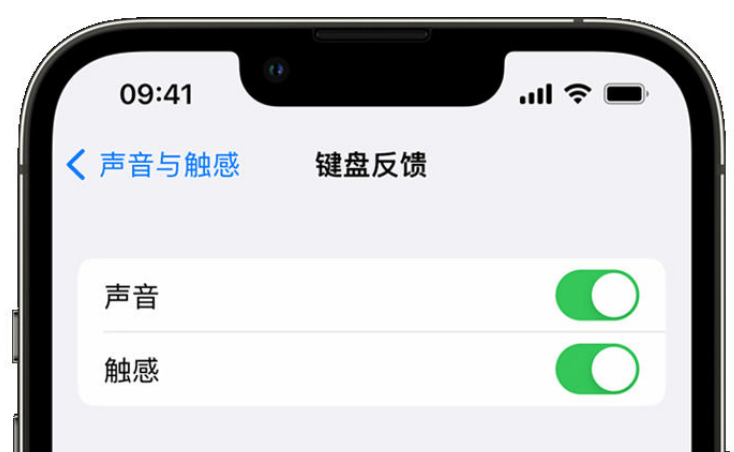 普陀苹果手机维修分享iPhone 14触感键盘使用方法 