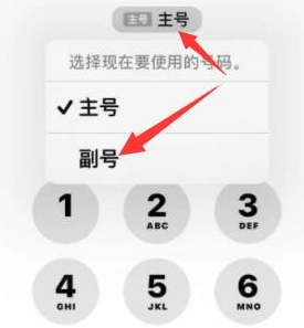 普陀苹果14维修店分享iPhone 14 Pro Max使用副卡打电话的方法 