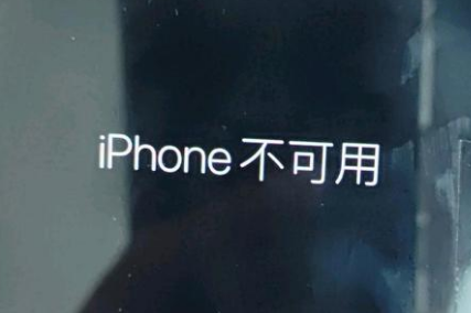 普陀苹果服务网点分享锁屏界面显示“iPhone 不可用”如何解决 