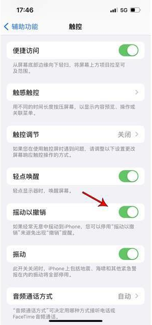 普陀苹果手机维修分享iPhone手机如何设置摇一摇删除文字 