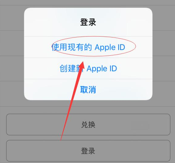 普陀苹果手机维修分享两台iPhone设备可以同时登录一个Apple ID吗 