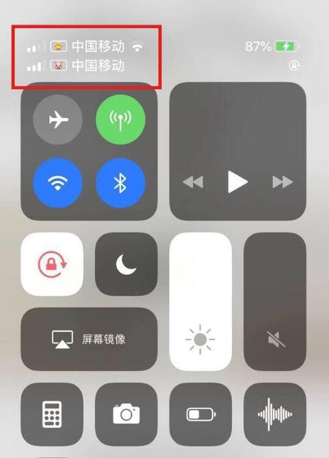 普陀苹果手机维修分享为 iPhone 12 双卡设置标签 